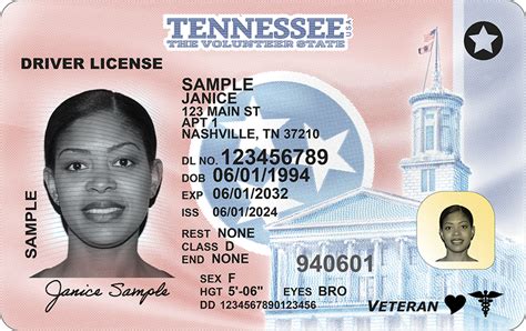 tennessee license verification.